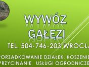 Wywóz gałęzi cena,  tel. 504-746-203. Cennik. Porządkowanie działki