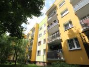 4p, 82m, okolice Zemskiej ROZKŁAD/BALKON/PIWNICA (Wrocław)