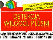 Wykrycie pleśni, tel. 504-746-203. Wrocław, wykrywanie, pleśń, cennik